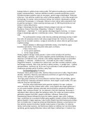 Specialiosios pedagogikos konspektas 6 puslapis
