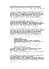 Specialiosios pedagogikos konspektas 7 puslapis