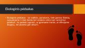 Maisto vartojimas ir jo įtaka mūsų ekologiniam pėdsakui 2 puslapis