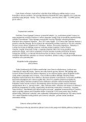 Steigiamasis Seimas ir konstitucija 2 puslapis