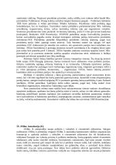 Steigiamasis Seimas ir konstitucija 11 puslapis