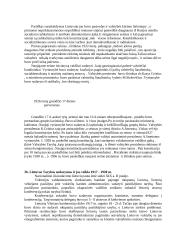 Steigiamasis Seimas ir konstitucija 3 puslapis