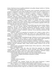 Steigiamasis Seimas ir konstitucija 4 puslapis