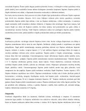 Šlapimo nelaikymas ir kineziterapija sutrikus šlapimo pūslės funkcijai 2 puslapis