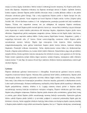 Šlapimo nelaikymas ir kineziterapija sutrikus šlapimo pūslės funkcijai 3 puslapis