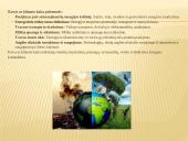 Darnaus vystymosi tikslai 11 puslapis