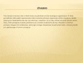 Darnaus vystymosi tikslai 17 puslapis