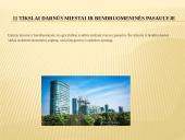 Darnaus vystymosi tikslai 3 puslapis