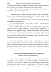 UAB „Stelauto“ tvaresnių automobilių pardavimo skatinimas 10 puslapis