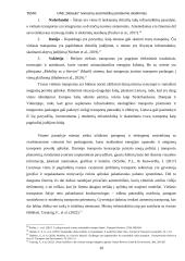 UAB „Stelauto“ tvaresnių automobilių pardavimo skatinimas 14 puslapis