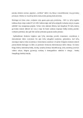 Moterų ir vyrų darbo užmokesčio atotrūkio apibūdinimas 12 puslapis