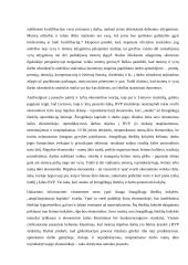 Moterų ir vyrų darbo užmokesčio atotrūkio apibūdinimas 5 puslapis