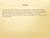 Paradox glasteks stiklo dūžio detektorius ir perimetro apsaugos sistemos 2 puslapis