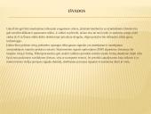 Paradox glasteks stiklo dūžio detektorius ir perimetro apsaugos sistemos 9 puslapis