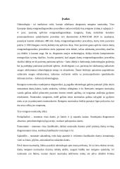 Panoraminis rentgenas