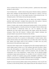 Panoraminis rentgenas 4 puslapis