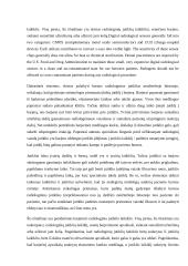 Panoraminis rentgenas 6 puslapis