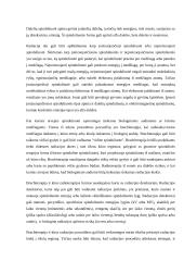 Panoraminis rentgenas 8 puslapis