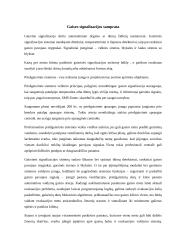 Gaisro signalizacija 3 puslapis