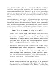 Gaisro signalizacija 5 puslapis