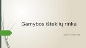Gamybos išteklių rinka