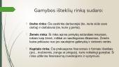 Gamybos išteklių rinka 2 puslapis