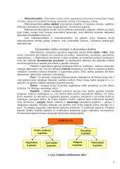 Ekonomikos teorija. Paskaitų konspektas 2 puslapis