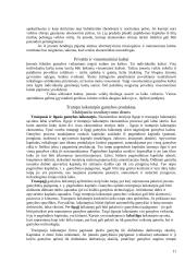 Ekonomikos teorija. Paskaitų konspektas 11 puslapis