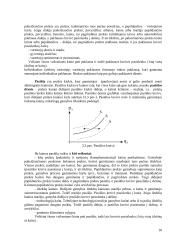 Ekonomikos teorija. Paskaitų konspektas 16 puslapis