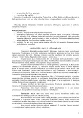 Ekonomikos teorija. Paskaitų konspektas 5 puslapis