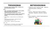 Mokesčiai, subsidijos ir kainų reguliavimas 4 puslapis