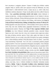 Troja. Trojos karas – mitas ir istorija 2 puslapis