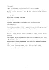 Vidaus ligų kineziterapijos praktikos ataskaita 8 puslapis