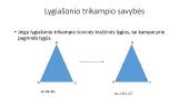 Trikampių rūšys 11 puslapis