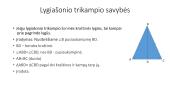 Trikampių rūšys 12 puslapis