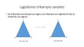 Trikampių rūšys 13 puslapis