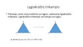 Trikampių rūšys 16 puslapis