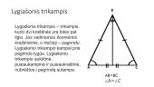 Trikampių rūšys 4 puslapis