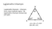 Trikampių rūšys 5 puslapis