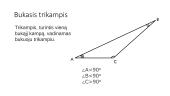 Trikampių rūšys 7 puslapis