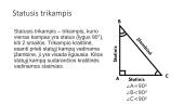 Trikampių rūšys 8 puslapis