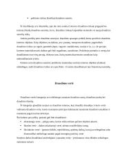 Turto draudimo sutartis bei jos rūšys 2 puslapis