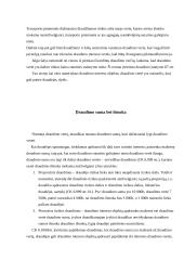 Turto draudimo sutartis bei jos rūšys 3 puslapis