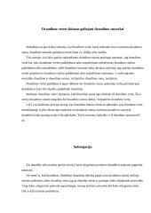 Turto draudimo sutartis bei jos rūšys 5 puslapis