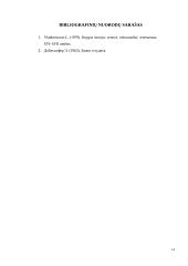 Rašto raidos pakopos. Fonetinis raštas 13 puslapis