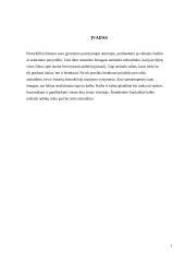 Rašto raidos pakopos. Fonetinis raštas 2 puslapis