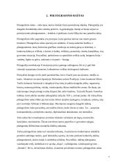 Rašto raidos pakopos. Fonetinis raštas 5 puslapis