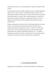 Rašto raidos pakopos. Fonetinis raštas 6 puslapis