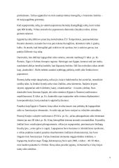 Rašto raidos pakopos. Fonetinis raštas 8 puslapis