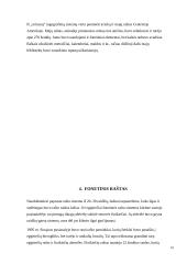 Rašto raidos pakopos. Fonetinis raštas 9 puslapis